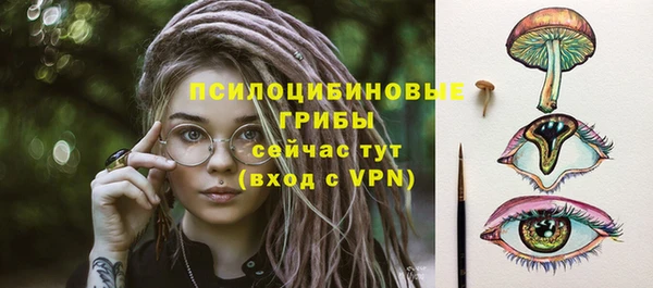 гидропоника Новокубанск