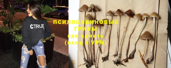 гидропоника Новокубанск