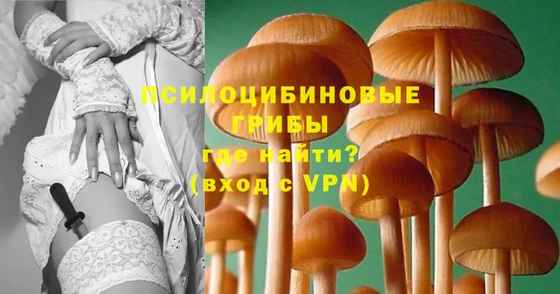 Псилоцибиновые грибы Psilocybine cubensis  ссылка на мегу вход  Нальчик  как найти  