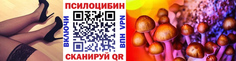 дарнет шоп  Нальчик  Галлюциногенные грибы Cubensis 