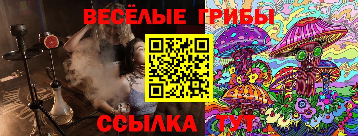 Псилоцибиновые грибы мицелий  Галлюциногенные грибы Cubensis  Нальчик 