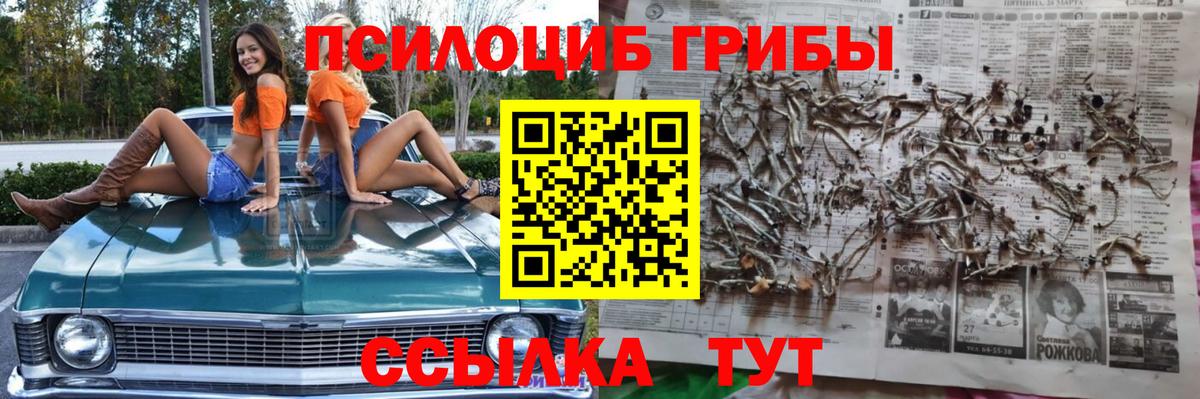 Галлюциногенные грибы MAGIC MUSHROOMS  Вход с VPN  Нальчик  Псилоцибиновые грибы Magic Shrooms 