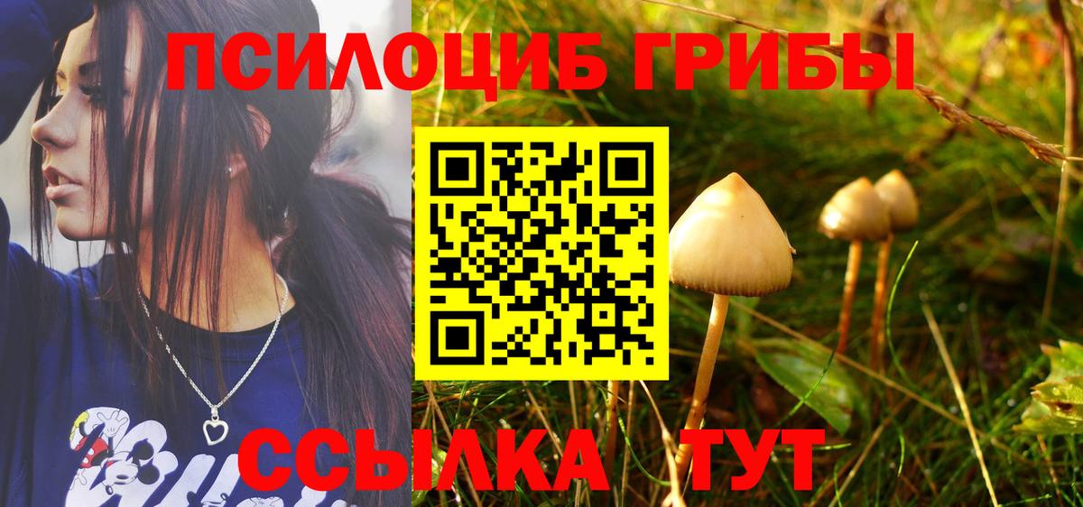 Галлюциногенные грибы GOLDEN TEACHER Нальчик